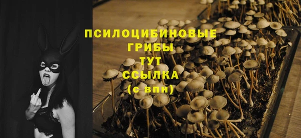крисы Баксан